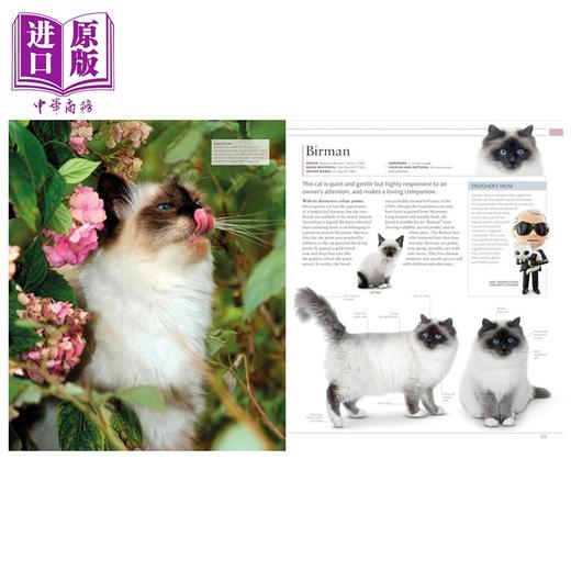 预售 [英文原版]The Cat Encyclopedia 商品图3