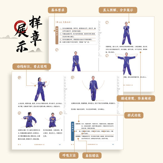 导引养生功十二法 国术健身健身气功 中老年健康养生武术书籍 商品图1