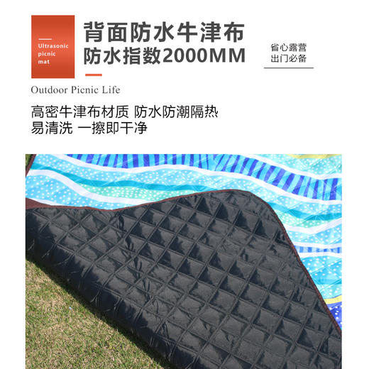 户外野餐垫超声波露营防潮垫便携式可折叠机洗野餐布加厚沙滩垫 商品图3