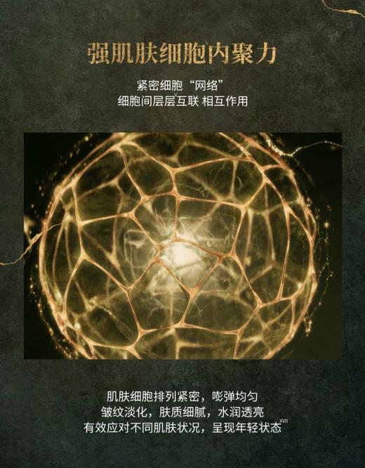 SK-II新LXP匠心精华露150ml 商品图7