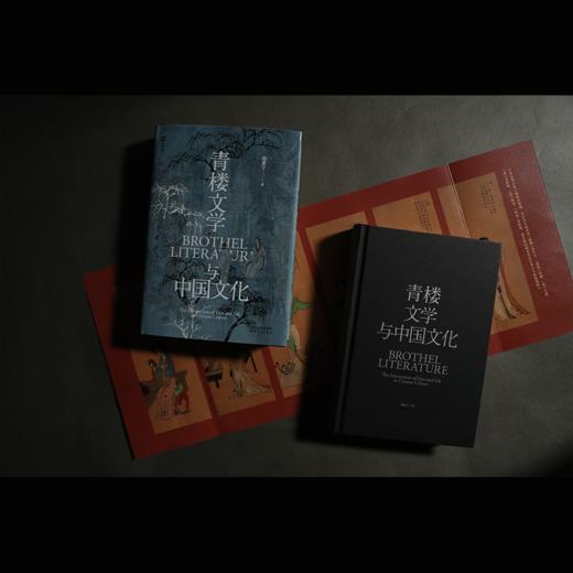 《青楼文学与中国文化》单本 商品图3