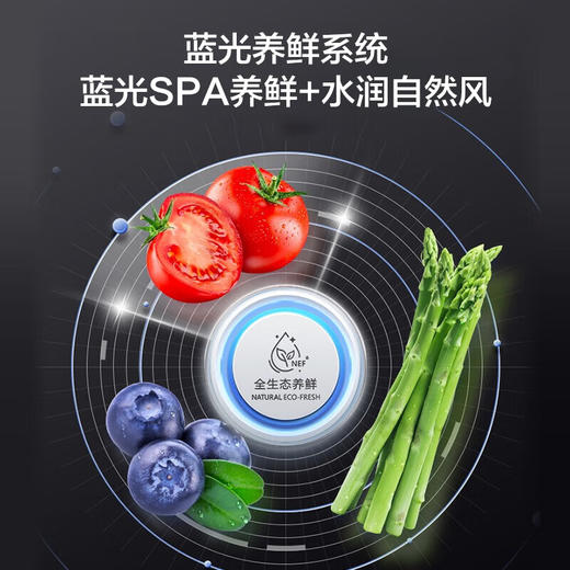 容声（Ronshen）620升冰箱BCD-620WD19FP 商品图3