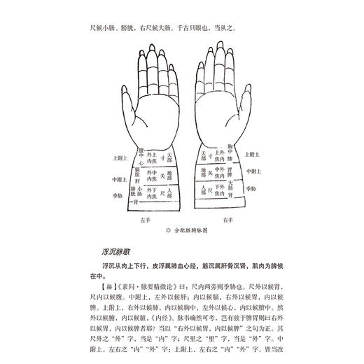 医宗金鉴 下册 清 吴谦等编 既适于初学中医学者之朝夕诵读又宜于临床医家之案头参考 中国医药科技出版社 9787521447002 商品图3