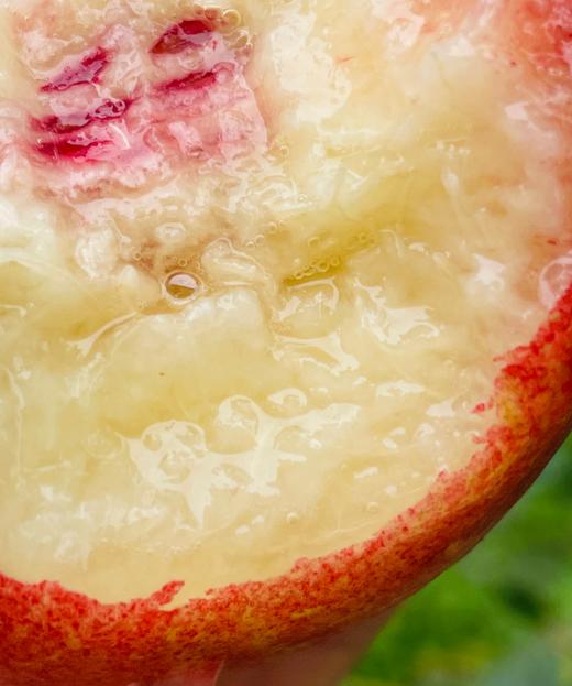 云南小樱红桃| 🌹🍑“小樱红桃”产自美丽的云南文山，天然的地理优势，低纬度产区光热资源好，极早熟，髙海抜昼夜温差大，山区生态环境好健康，无污染等特点造就了文山独特的高品质蜜桃🍑❤️ 商品图2