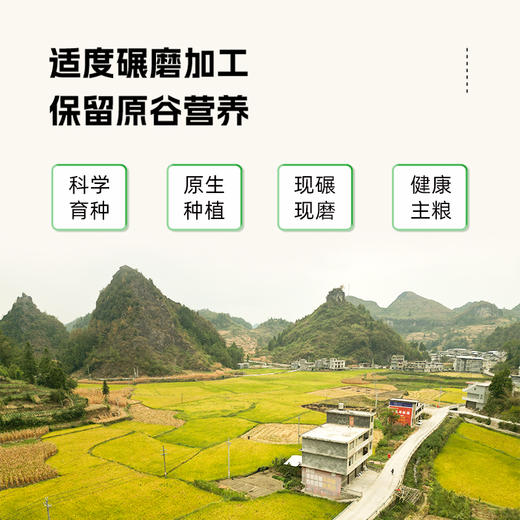 【爆品热卖】低GI富硒大米1kg*5 主食新选择·低升糖富硒大米 商品图1