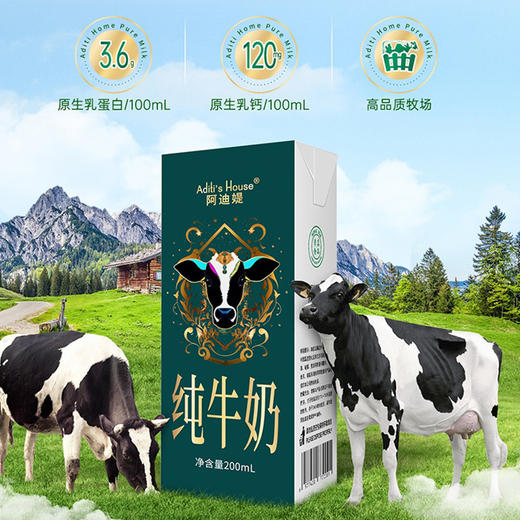 阿迪媞3.6g乳蛋白纯牛奶200ml*10盒/箱~贺兰山黄金奶源带口感香醇，优质厚乳，高钙丰富乳蛋白 商品图0