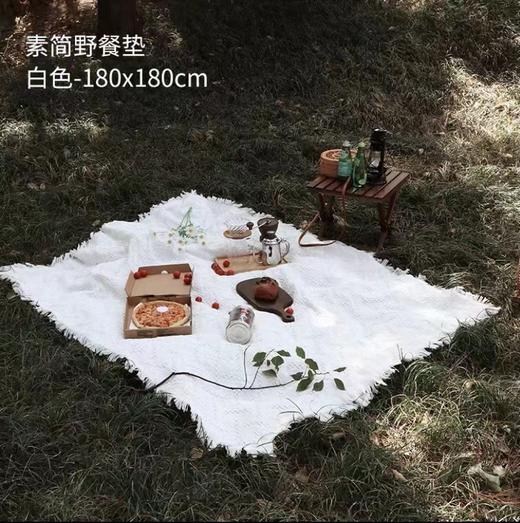 北欧风新款露营野餐垫ins野餐布 防潮加厚 帐篷地垫子 沙滩毯 法式户外用品拍照 商品图2
