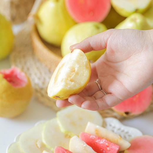 【果蔬精选】树上熟芭乐家族芭乐双拼 树上自然熟 新鲜采摘 甘甜回味 清脆香甜 爽口舒心 商品图1