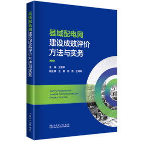 县域配电网建设成效评价方法与实务