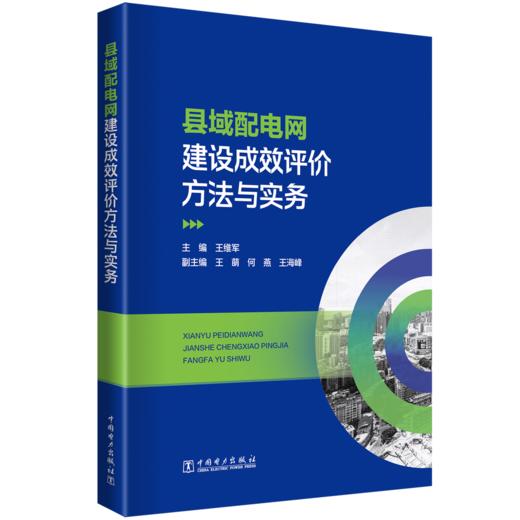 县域配电网建设成效评价方法与实务 商品图0