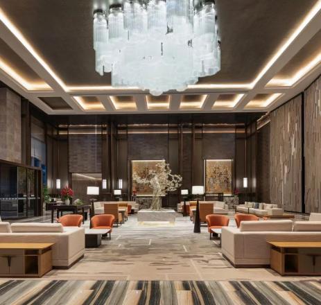 龙泉鼎丰温德姆酒店 商品图2