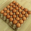 精选鲜鸡蛋/大型鸡场直供 30枚标准纸托装 商品缩略图0