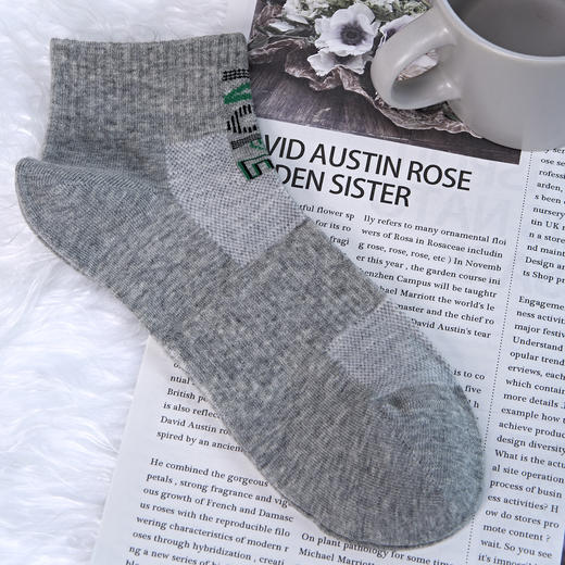 男【2双装 6双6折】丨男士短筒运动袜网面男袜四季袜子【2411101】 商品图1