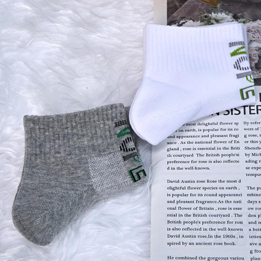 男【2双装 6双6折】丨男士短筒运动袜网面男袜四季袜子【2411101】 商品图0