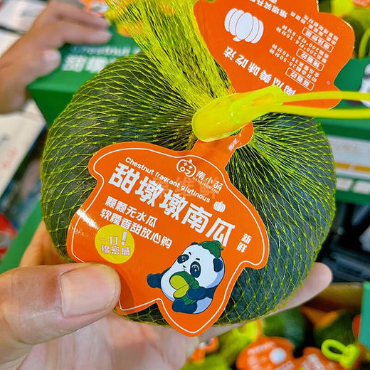 【1颗】甜墩墩小南瓜1颗 (重约400克) 【当天可提货】 商品图0