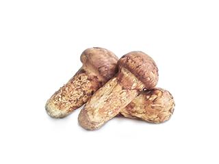 香格里拉新鲜松茸 商品图2