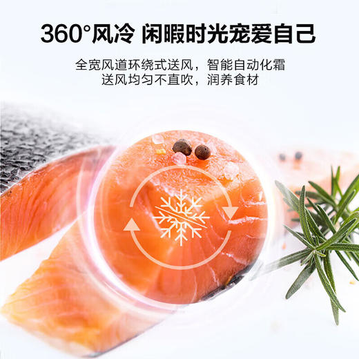 海尔（haier）冰箱501升双变频双循环黑金净化四开门十字门对开门风冷超薄大容量智能变温电冰箱星石蓝【双变频双循环】【黑金净化除菌】【三档变温】 商品图2