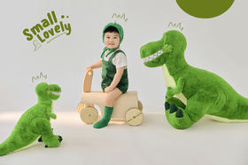 【1-3岁小童】199元抢米卡摄影3组造型+8张精修+8寸PVC相册+10寸拉菲版画2个