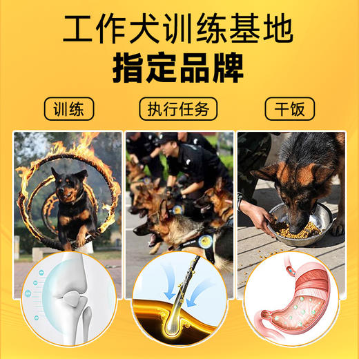 【会员专享】雷米高澳宝通用型成犬狗粮旗舰店官方正品边牧金毛中大型犬40斤装 商品图4