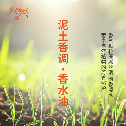 泥土香调香水油 植物精油香氛 适用护体香 护手油 润发丝 大篷车精油 商品图2