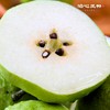 大理宾川蜂糖梨·泊心风物 商品缩略图0