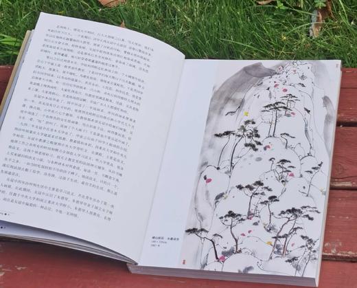 世界名画家全集之：《吴冠中》，16开，铜版彩印，吴可雨编著，河北教育出版社2009年一版二印，定价58，售价47元。 商品图5