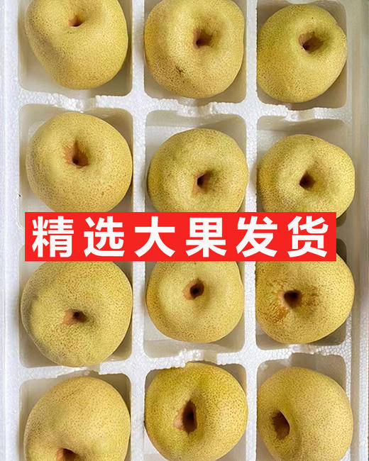 【砀山酥梨】松脆·化渣·一口咬开爆汁 · 冰糖雪梨/梨膏/梨汁棒棒糖/多种吃法 无菌套袋种植0膨大剂甜蜜素 宝宝孕妇老人放心吃！ 商品图3