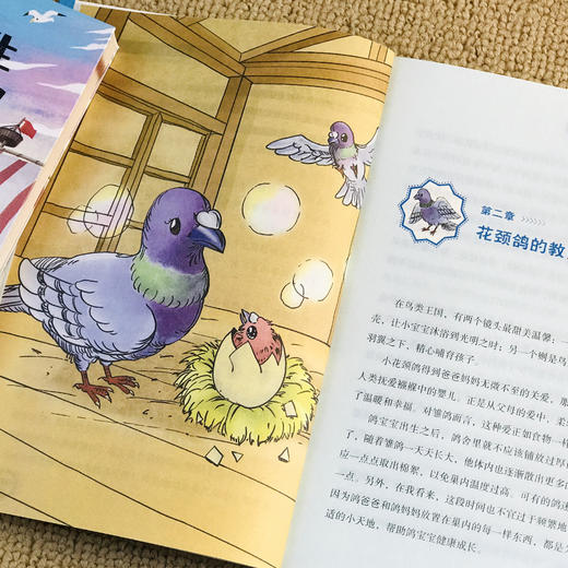 【礼盒装】纽伯瑞国际儿童文学大奖小说（全10册） 商品图6