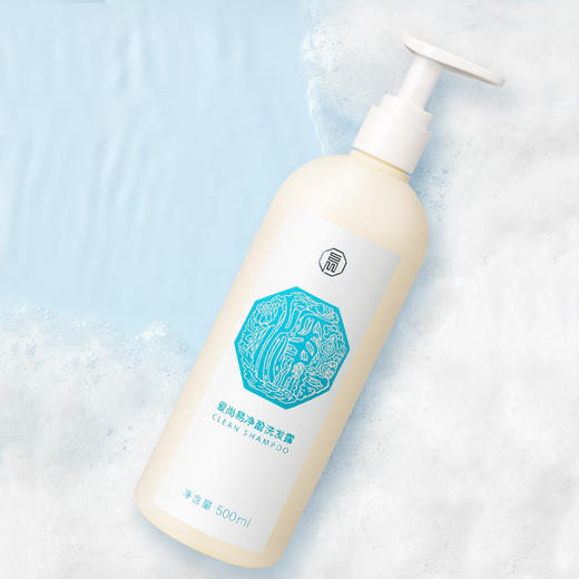 爱尚易净盈洗发露 商品图2