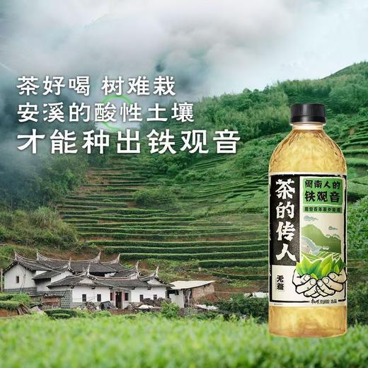 茶的传人 铁观音茶 无糖500ml*15 商品图1