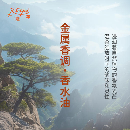 金属香调香水油 植物精油香氛 适用护体香 护手油 润发丝 大篷车精油 商品图1