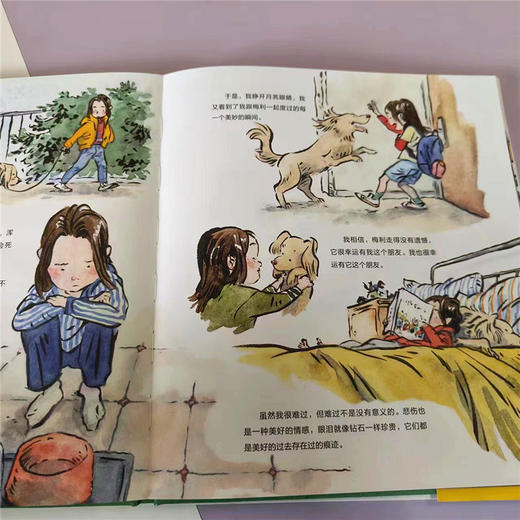 《不一样的眼睛》绘本，启发孩子对生活的辩证思考：看到缺陷也看到美好（5-8岁） 商品图3