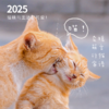 遇见猫·2025猫日历 | 温暖治愈指南 商品缩略图4