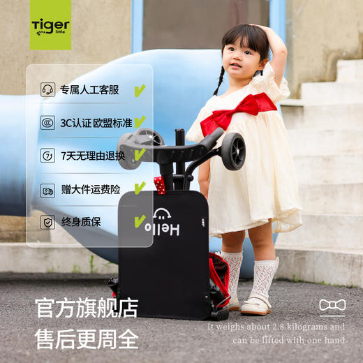 小虎子T18限量款推车（6个月-6岁） 商品图2