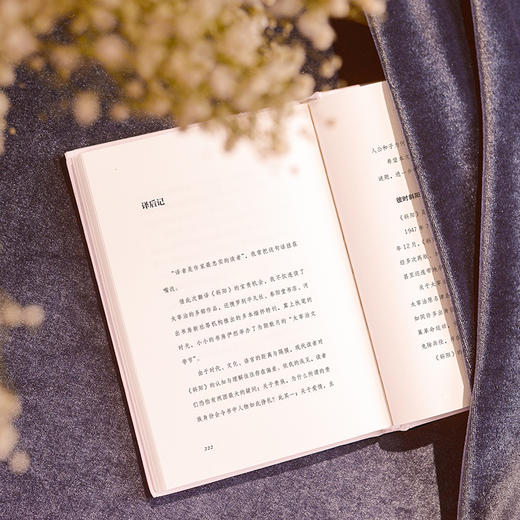 斜阳(新版) (日) 太宰治著 商品图4