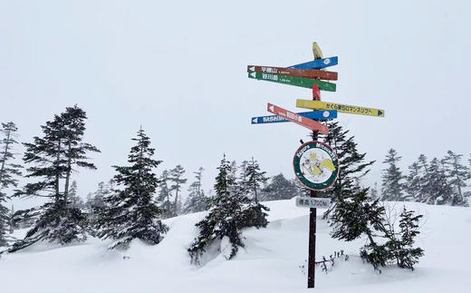 【25/26粉雪季】日本新泻苗场 6日5晚 | 往返机票，品牌酒店，滑进滑出 商品图1