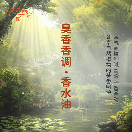 臭香香调香水油 植物精油香氛 适用护体香 护手油 润发丝 大篷车精油 商品图2
