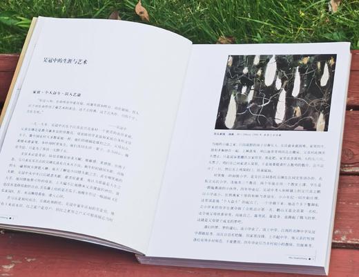 世界名画家全集之：《吴冠中》，16开，铜版彩印，吴可雨编著，河北教育出版社2009年一版二印，定价58，售价47元。 商品图4