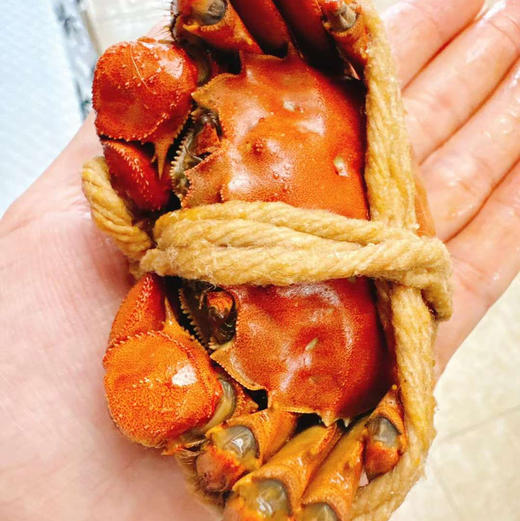 花雕熟醉蟹熟醉虾罗氏虾大闸蟹现腌现卖顺丰快递包邮 商品图6