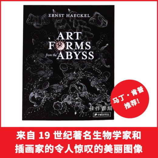 Art Forms from the Abyss: Ernst Haeckel's Images from the HMS Challenger Expedition/来自深渊的艺术形式 商品图0