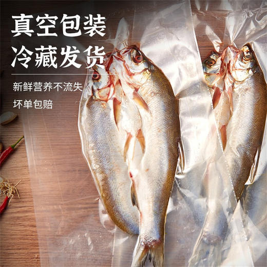 【宜昌助农馆】荆八宝 荆楚淡水阳干刁子鱼 翘嘴鱼白鱼 咸鱼腌鱼糍粑鱼整条 商品图1