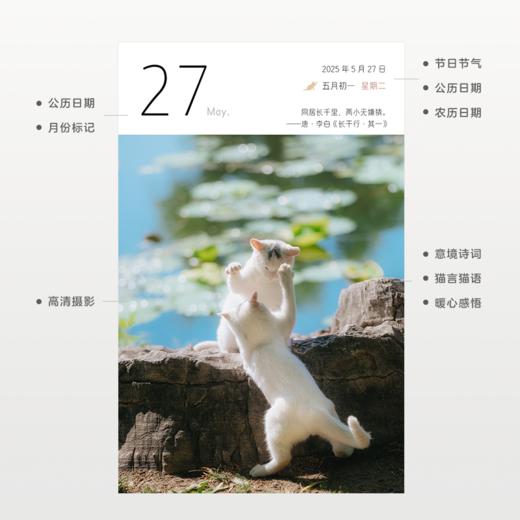 遇见猫·2025猫日历 | 温暖治愈指南 商品图2