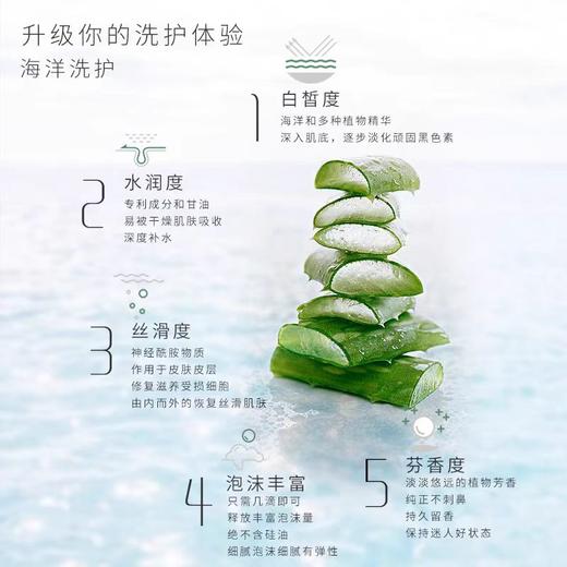 蜜梨珊瑚藻清爽沐浴露 商品图2
