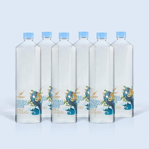 维必滋天然饮用泉水1.5L*6 商品图0