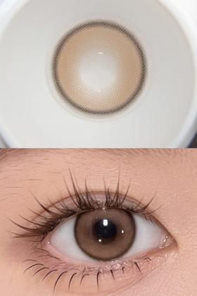 Curly Puppy半年抛美瞳 泰式奶茶 14.2mm