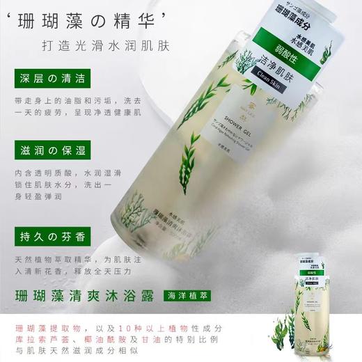 蜜梨珊瑚藻清爽沐浴露 商品图1