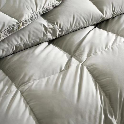 【春上新】【送2000元线下无门槛券】10楼富安娜 A类.鹅绒被/伊尔顿/灰  吊牌价9800-17800元   活动价3999-5999元 商品图1