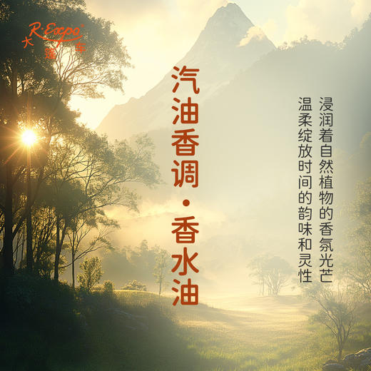 汽油香调香水油 植物精油香氛 适用护体香 护手油 润发丝 大篷车精油 商品图1
