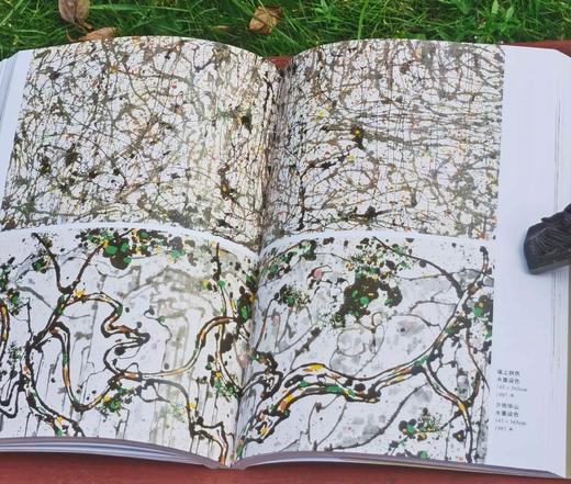 世界名画家全集之：《吴冠中》，16开，铜版彩印，吴可雨编著，河北教育出版社2009年一版二印，定价58，售价47元。 商品图12