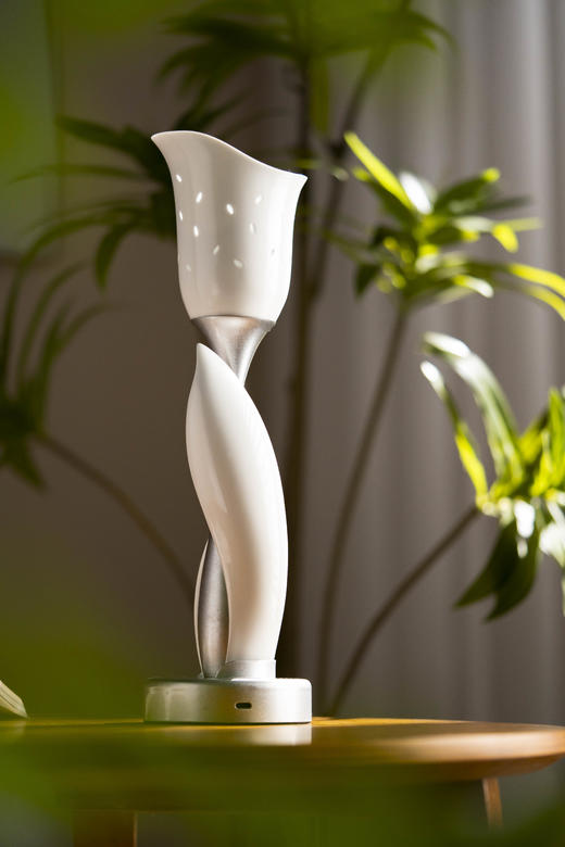 富玉陶瓷 · 景德镇玲珑瓷 花苞灯氛围卧室床头台灯温馨装饰生日礼物 商品图6